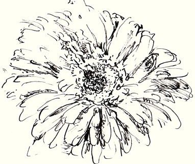 382x322 Pen And Ink Drawings Of Flowers How To Draw And Sketch Flowers - Flower Ink Drawing