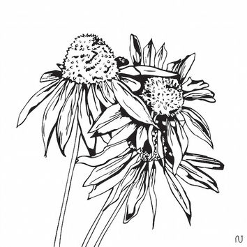 354x354 Shop Flower Ink Drawings On Wanelo - Flower Ink Drawing
