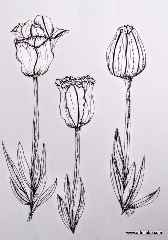 561x800 Artmiabo Blog Flowers In My Pen Garden Pen And Ink Flower - Flower Ink Drawing