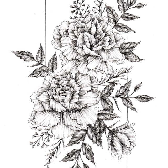640x640 Carnation Flower Ink Drawing, Design Craft, Artworks On Carousell - Flower Ink Drawing