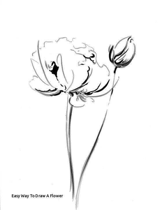 570x726 Easy Way To Draw A Flower Flowers Ink Drawing Art Print Minimalist - Flower Ink Drawing