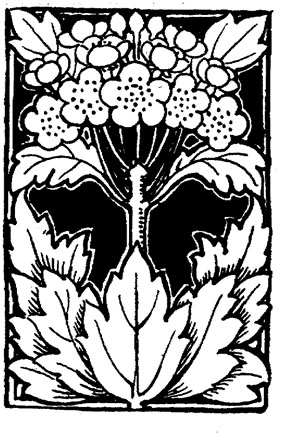 288x435 Drawings Of Flowers - Flower Leaves Drawing