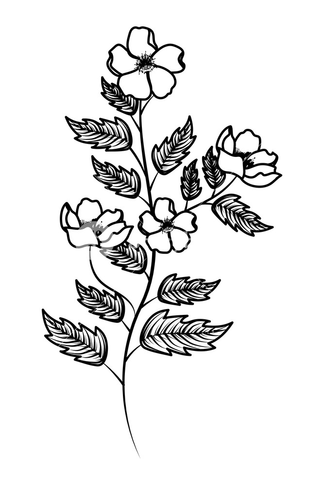 Flower Leaves Drawing at PaintingValley.com | Explore collection of ...