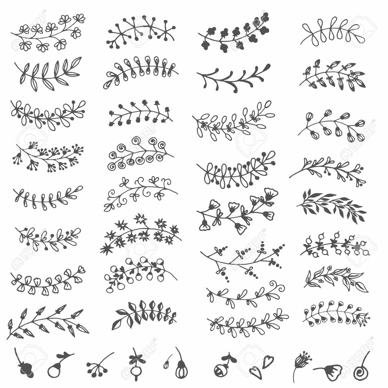 1300x1300 hand draw set of floral branches and leaves hand painted elements - Flower Leaves Drawing
