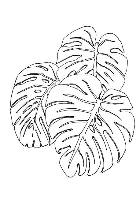 458x647 Doodle,drawing,illustration,ink,zentangle,jungle,leaves,line - Flower Leaves Drawing