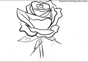 300x210 Flower Line Drawing - Flower Line Drawing