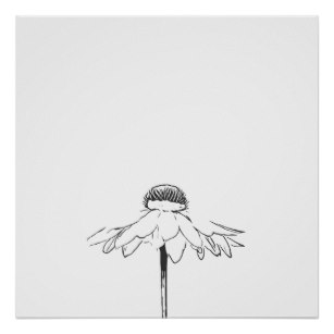 307x307 Line Drawings Flowers Art Wall Zazzle Ca - Flower Line Drawing