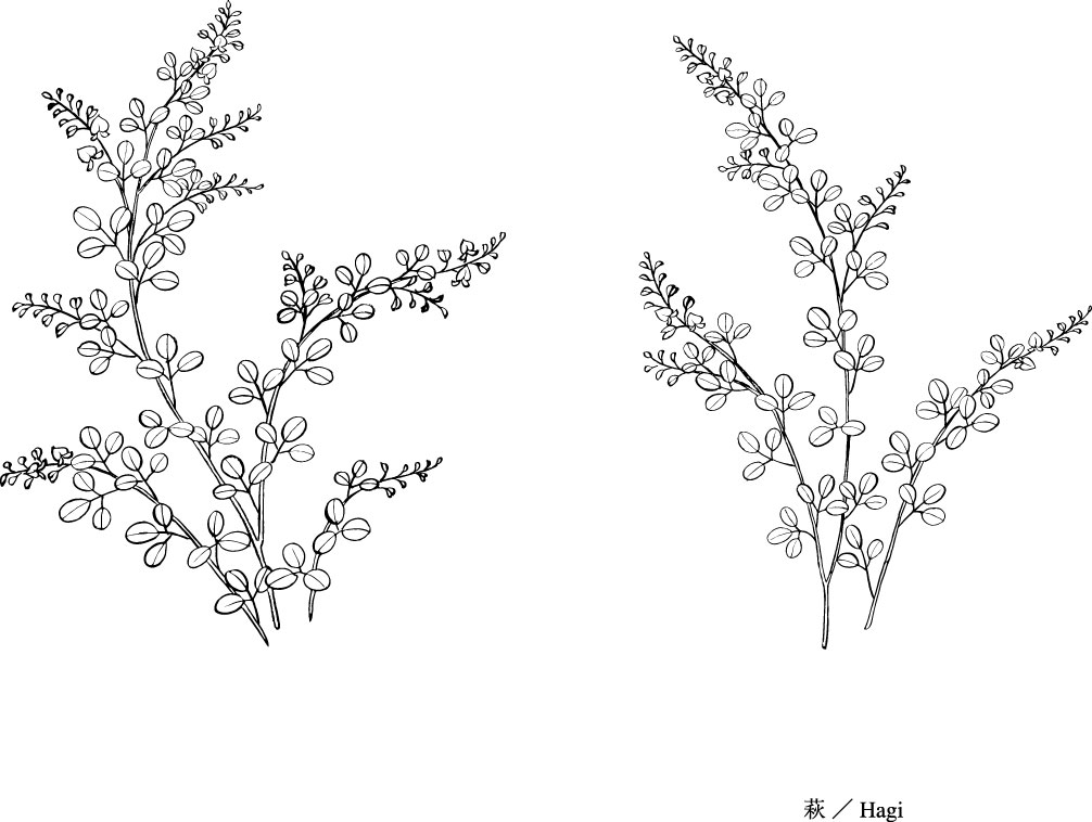 1006x758 Flower Line Drawing - Flower Line Drawing