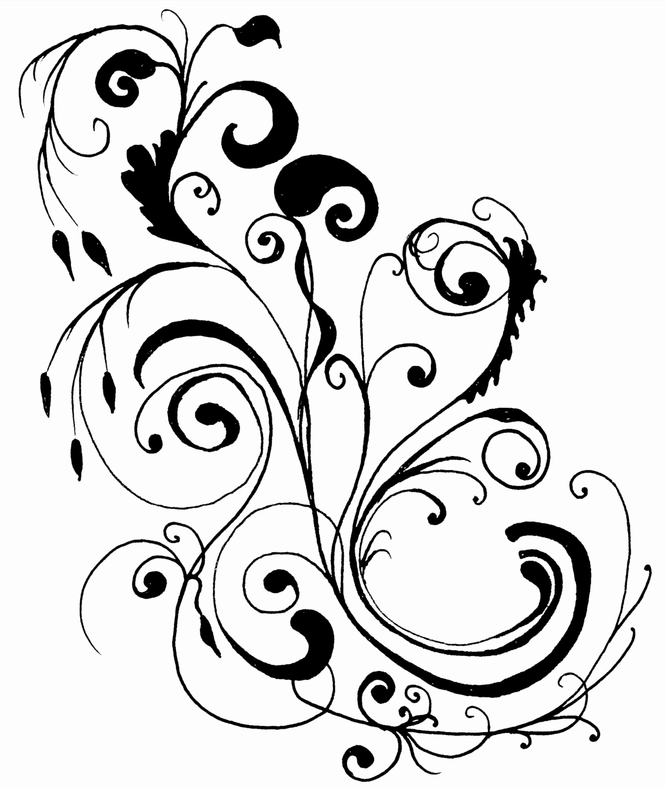 Flower Line Drawing Clip Art Free at PaintingValley.com | Explore ...