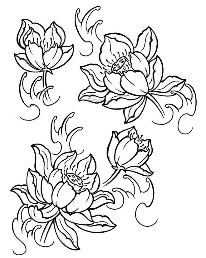 660x827 Flowers Color Clipart Flower Line Drawing - Flower Line Drawing Clip Art Free