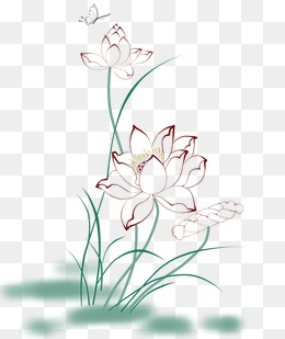 260x309 Flowers Line Drawing Png Images Vectors And Free - Flower Line Drawing Clip Art Free