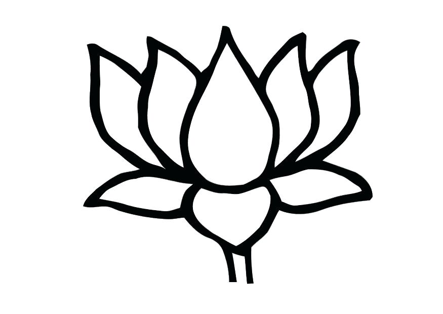 875x620 Free Lotus Flower Line Drawing Download Free Clip Art Free Clip - Flower Line Drawing Clip Art Free