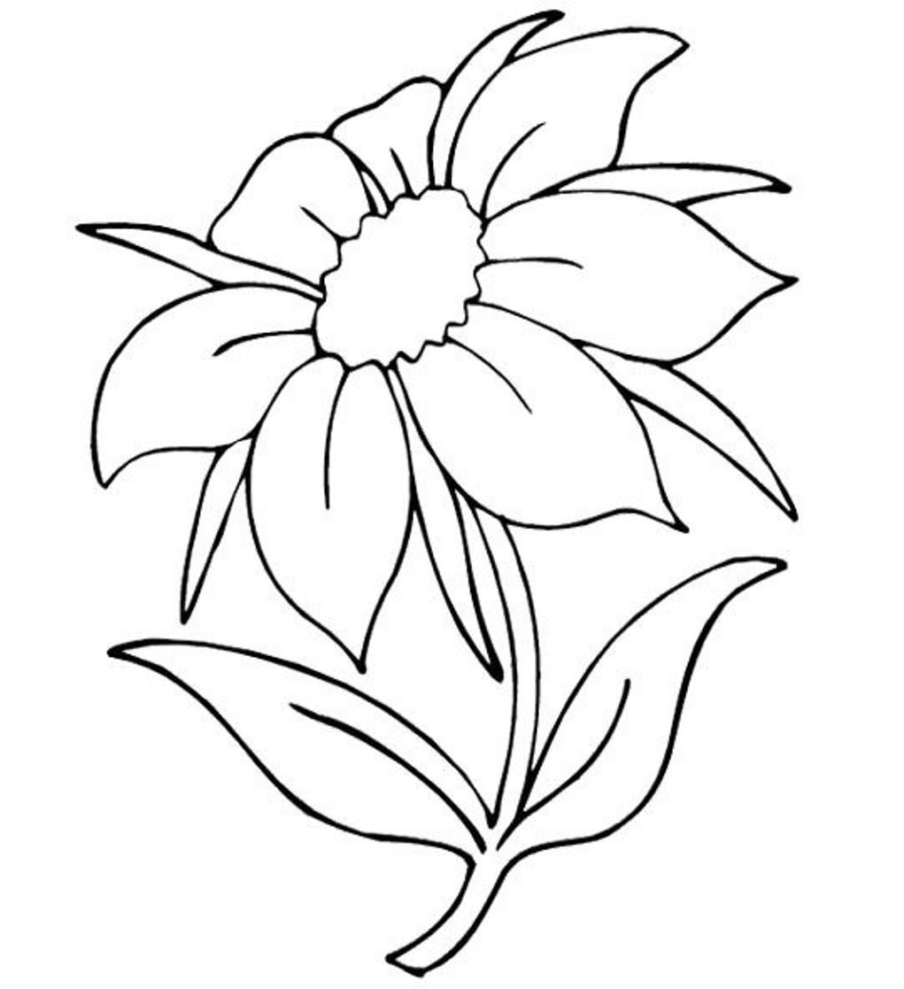 1021x1117 Line Drawing Flowers Book - Flower Line Drawing Clip Art Free