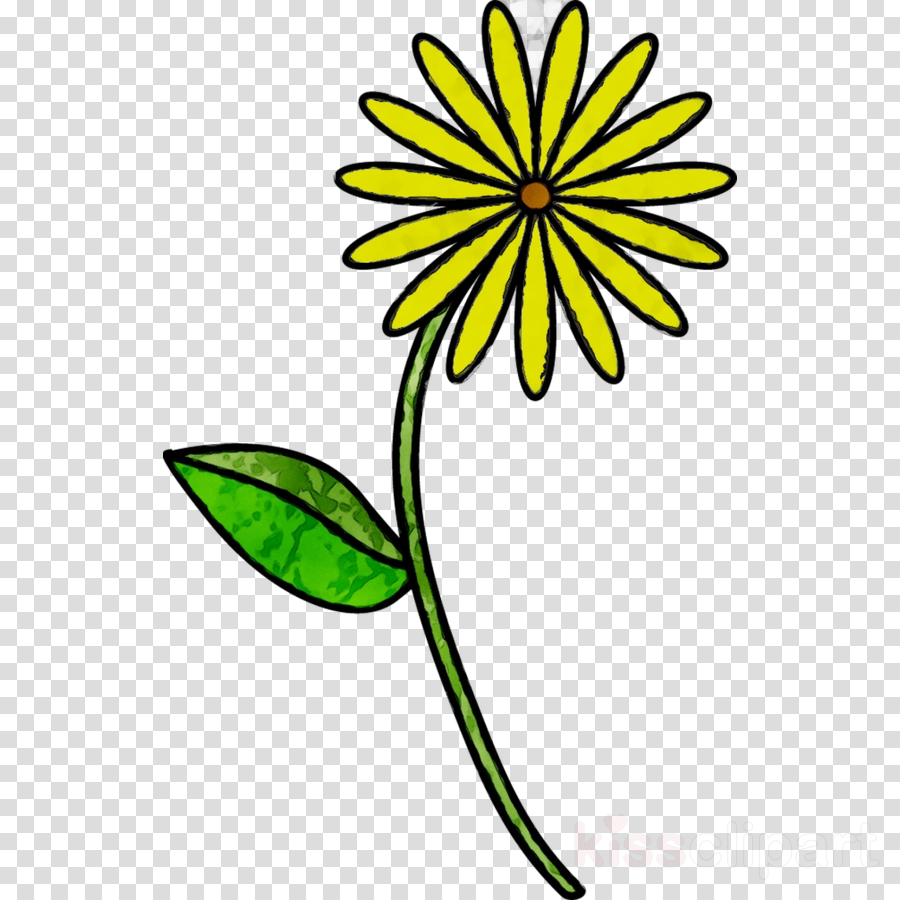 Flower Line Drawing Clip Art Free At Paintingvalley Com Explore Collection Of Flower Line