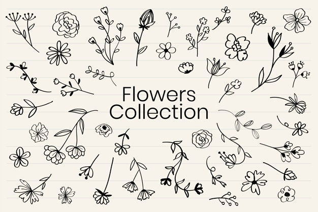 626x417 Flower Lineart Vectors, Photos And Free Download - Flower Line Drawing Vector