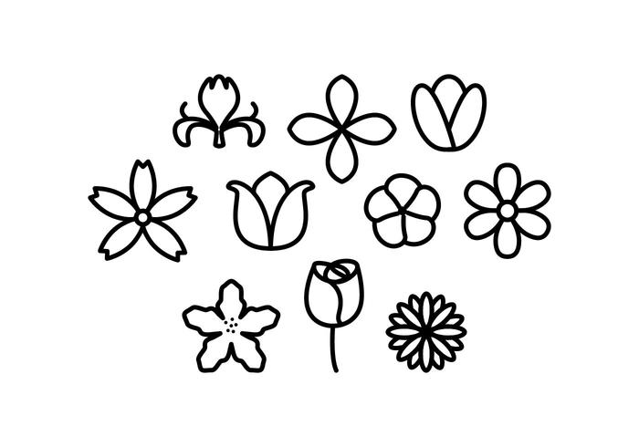 700x490 Free Flowers Line Icon Vector - Flower Line Drawing Vector