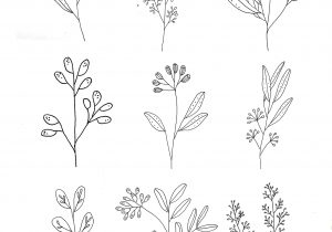 300x210 simple flower line drawing peony flower and leaves line drawing - Flower Line Drawing Vector