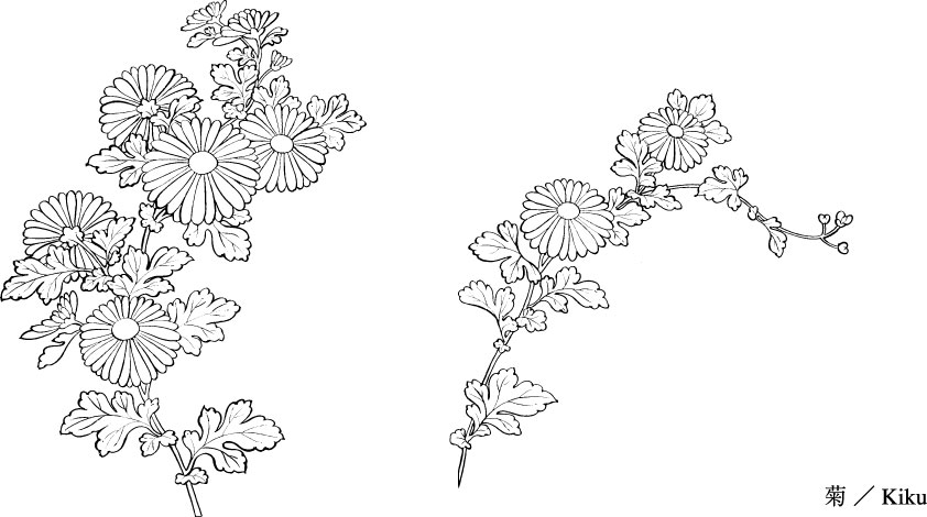842x470 Vector Line Drawing Of Flowers - Flower Line Drawing Vector