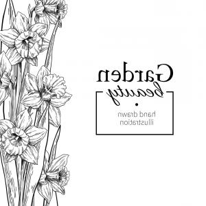 300x300 Daffodil Flower And Leaves Border Drawing Vector Arenawp - Flower Line Drawing Vector