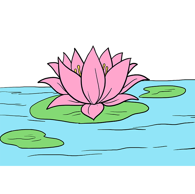 680x678 How To Draw A Lotus Flower - Flower Lotus Drawing