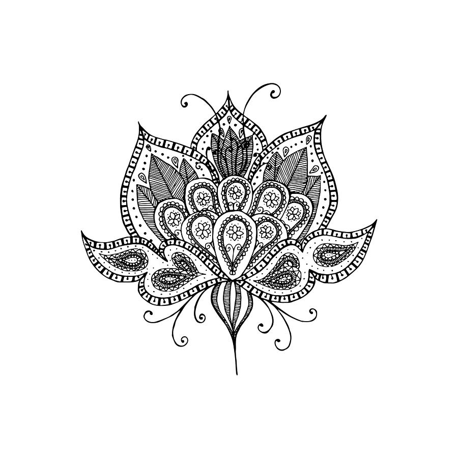 900x900 Lotus Flower Drawing - Flower Lotus Drawing