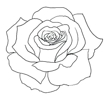 Flower Outline Drawing at PaintingValley.com | Explore collection of ...