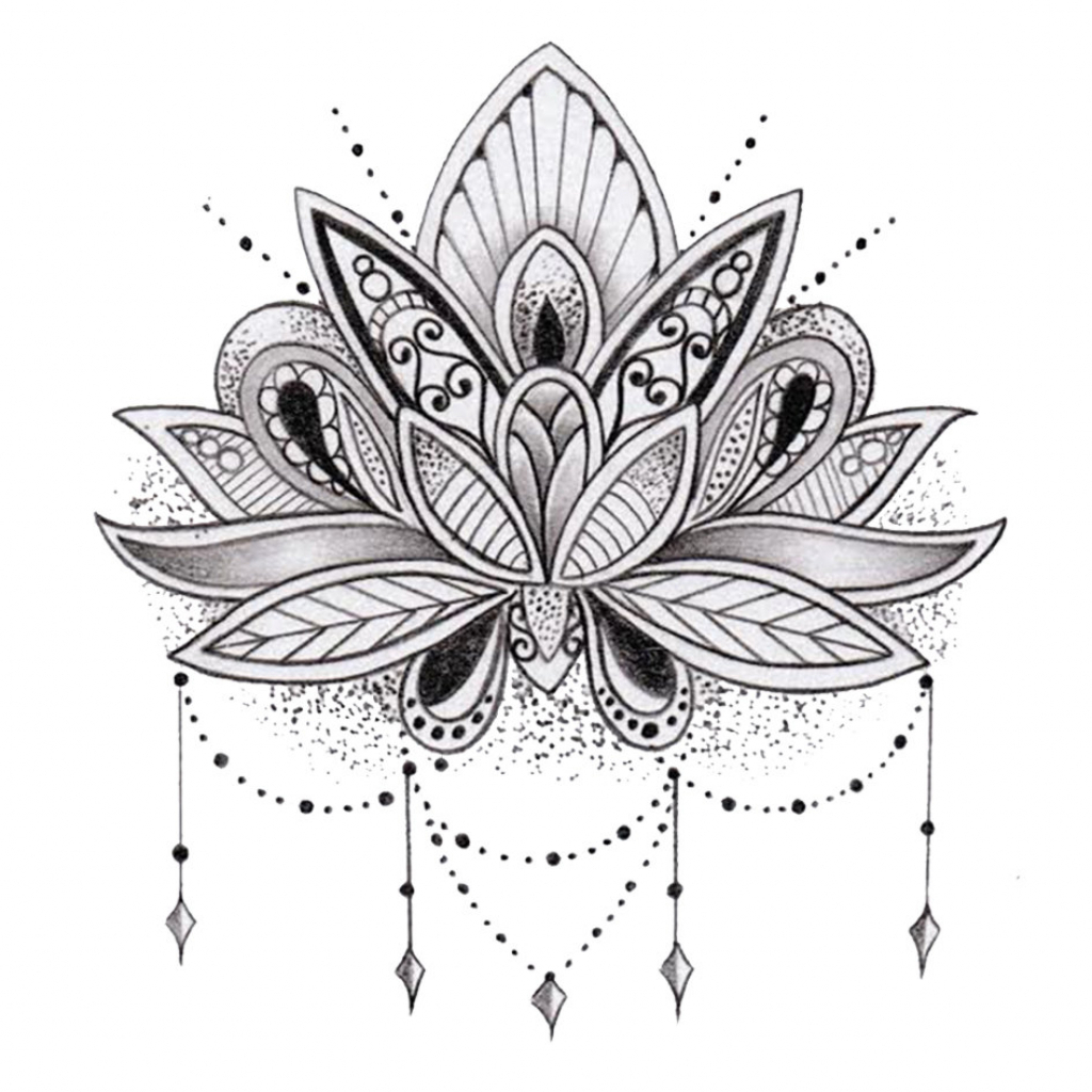 1024x1024 Huge Collection Of 'lotus Flower Drawing Outline' Download More - Flower Outline Drawing