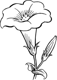 236x330 Black, Outline, Drawing, Flower, White, Flowers, Free Drawing - Flower Outline Drawing