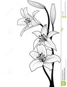 Flower Outline Drawing at PaintingValley.com | Explore collection of ...