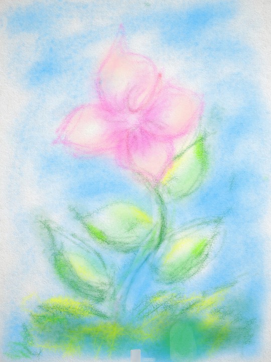 540x720 Free Photo Flower Drawing Pastels - Flower Pastel Drawing
