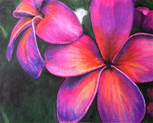 494x399 a painting of my favorite flower the frangipani aka plumeria oil - Flower Pastel Drawing