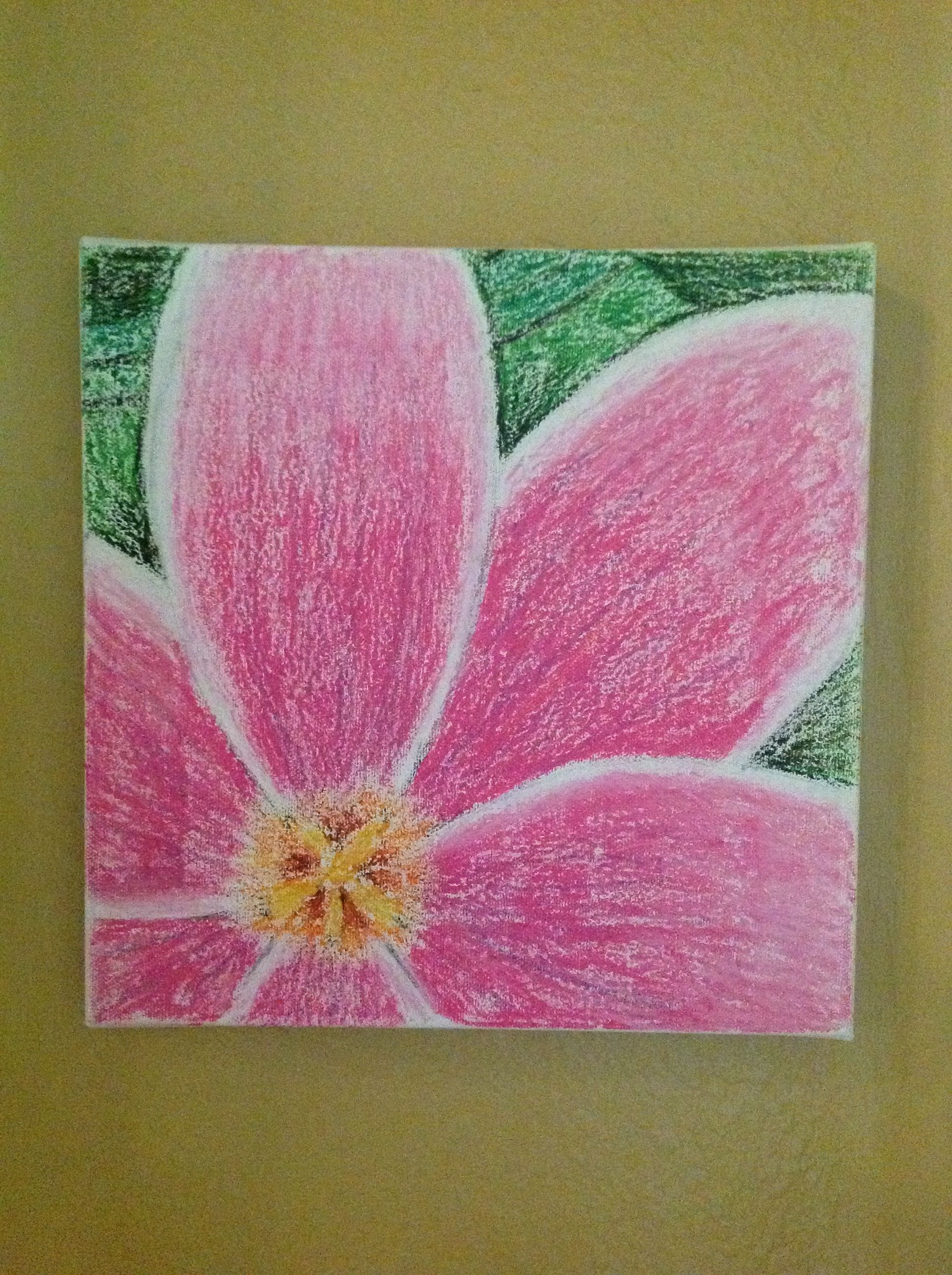 1936x2592 Oil Pastels Flower Drawing My Own Work Oil Pastel Art - Flower Pastel Drawing
