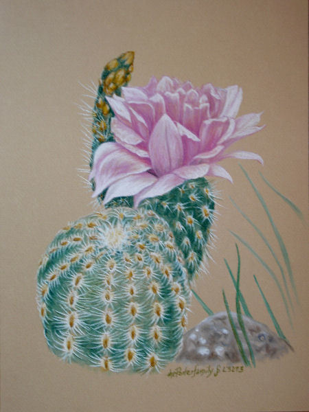 450x600 Original Pastel Drawing Barrel Cactus Flower - Flower Pastel Drawing
