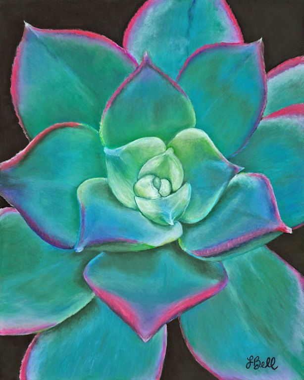 614x768 Succulent Plant Art Original Pastel Drawing - Flower Pastel Drawing