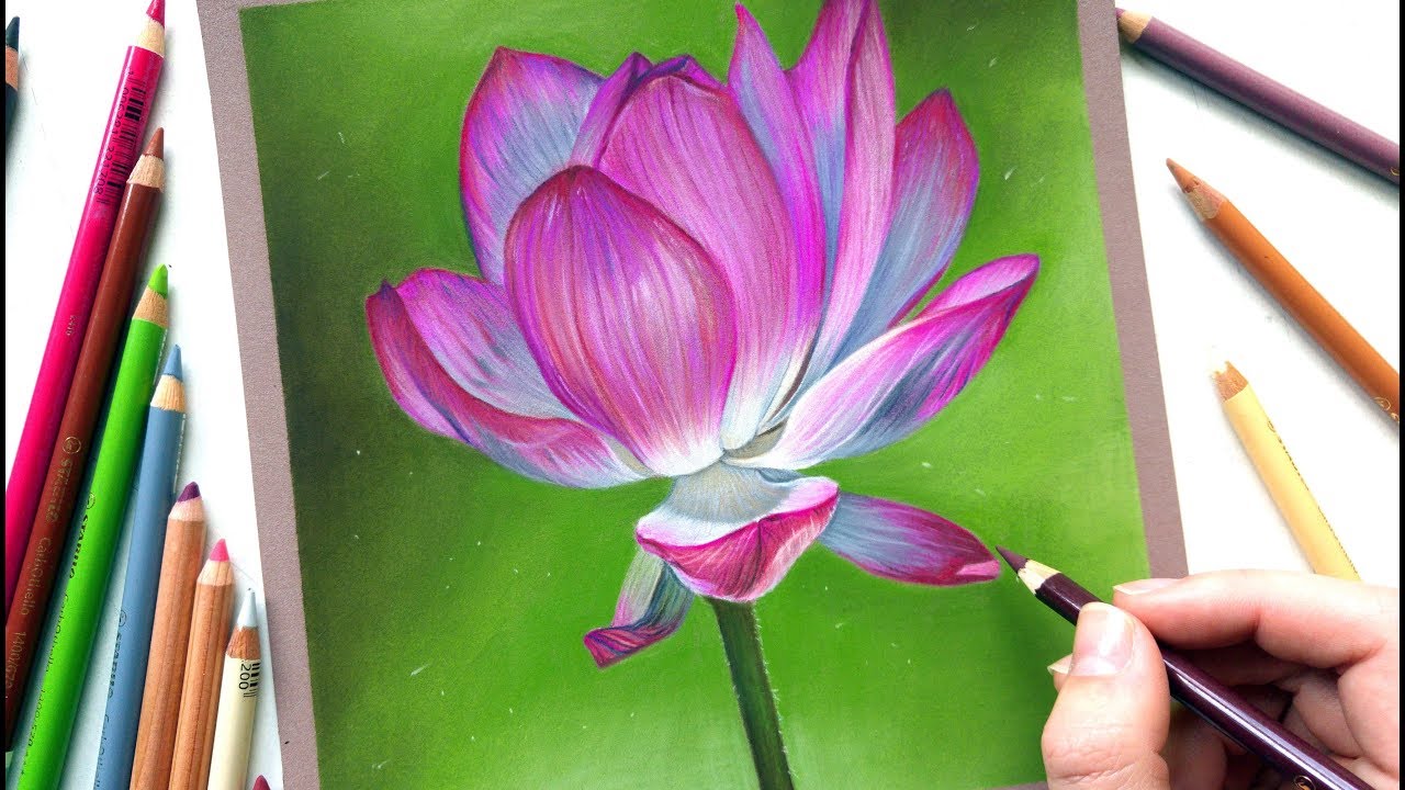 Flower Pastel Drawing at Explore collection of