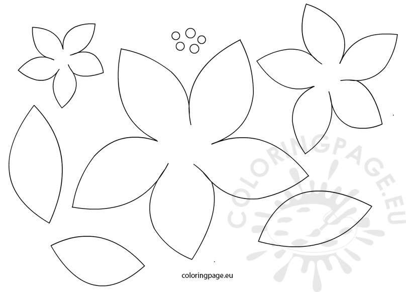 808x581 Flower Pattern Drawing Free - Flower Pattern Drawing