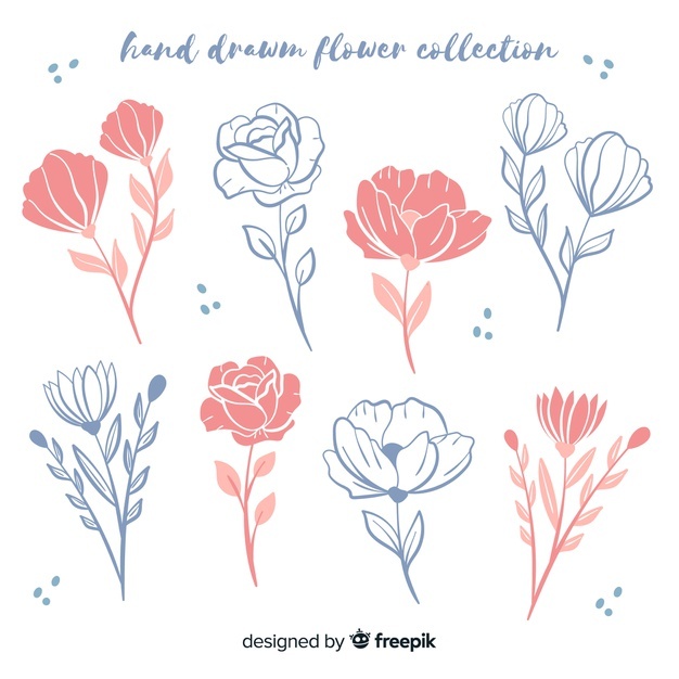 626x626 Flower Sketch Vectors, Photos And Free Download - Flower Pattern Drawing