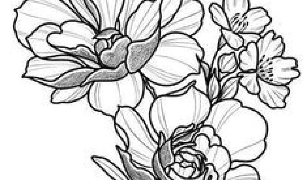 1024x600 Japanese Flowers Drawing Easy Best Flower Sketch Images Images - Flower Pattern Drawing