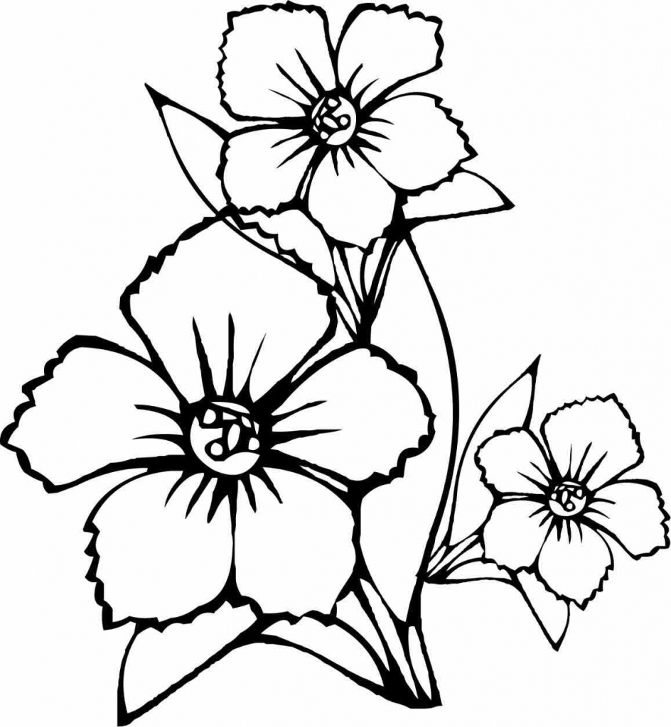 944x1024 Simple Flower Designs For Pencil Drawing Simple Floral Designs - Flower Pattern Drawing