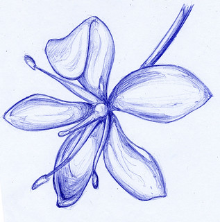 317x320 Flower Pen Drawing Jose Ambrosio - Flower Pen Drawing