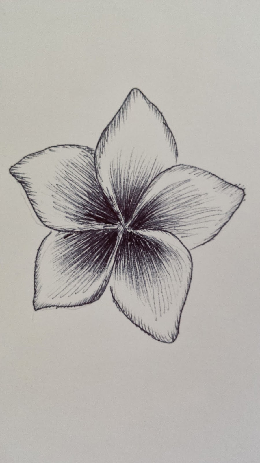 Flower Pen Drawing at PaintingValley.com | Explore collection of Flower ...