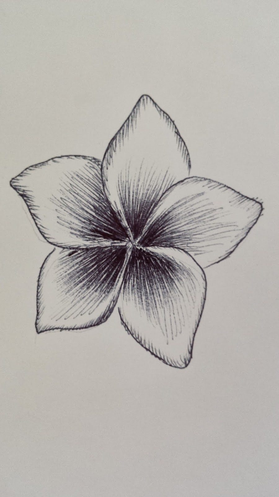 Flower Pen Drawing at Explore collection of Flower