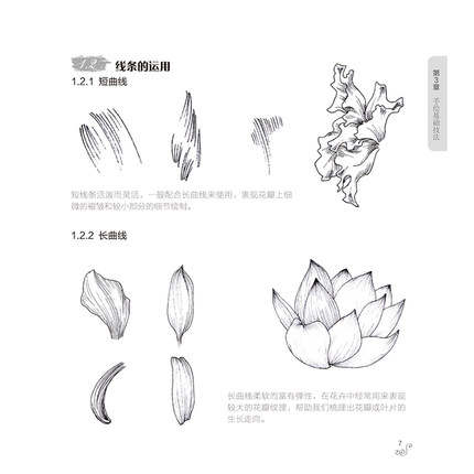 430x430 Online Shop Black And White Flower Painted For Youth Adult - Flower Pen Drawing