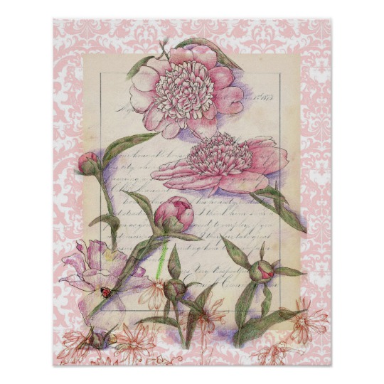 540x540 Pink Peony Flower Pen And Ink Art Collage Drawing Poster - Flower Pen Drawing