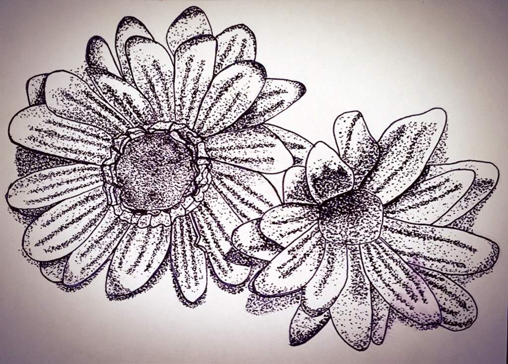 1024x734 Flower, Pen Drawing Doodles And Drawings Amino - Flower Pen Drawing