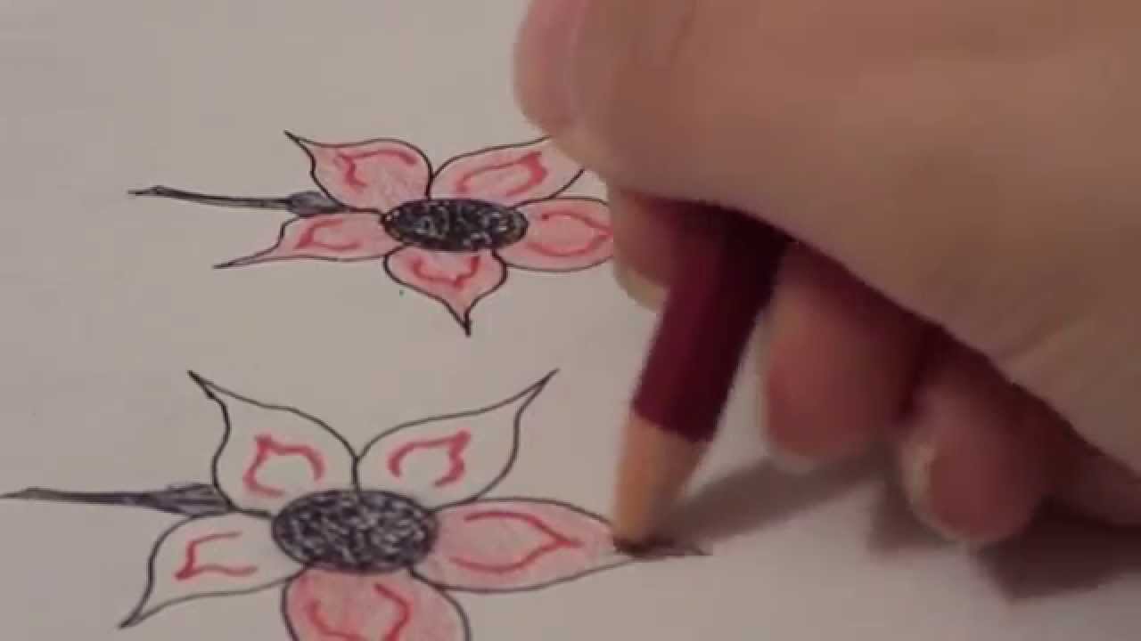 1280x720 How To Draw A Five Petal Flower - Flower Petals Drawing