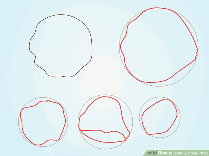 728x546 How To Draw A Rose Petal Steps - Flower Petals Drawing