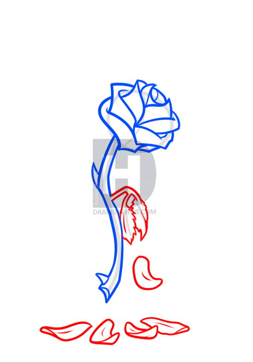 502x719 Beauty And The Beast Rose Drawing, Step - Flower Petals Drawing
