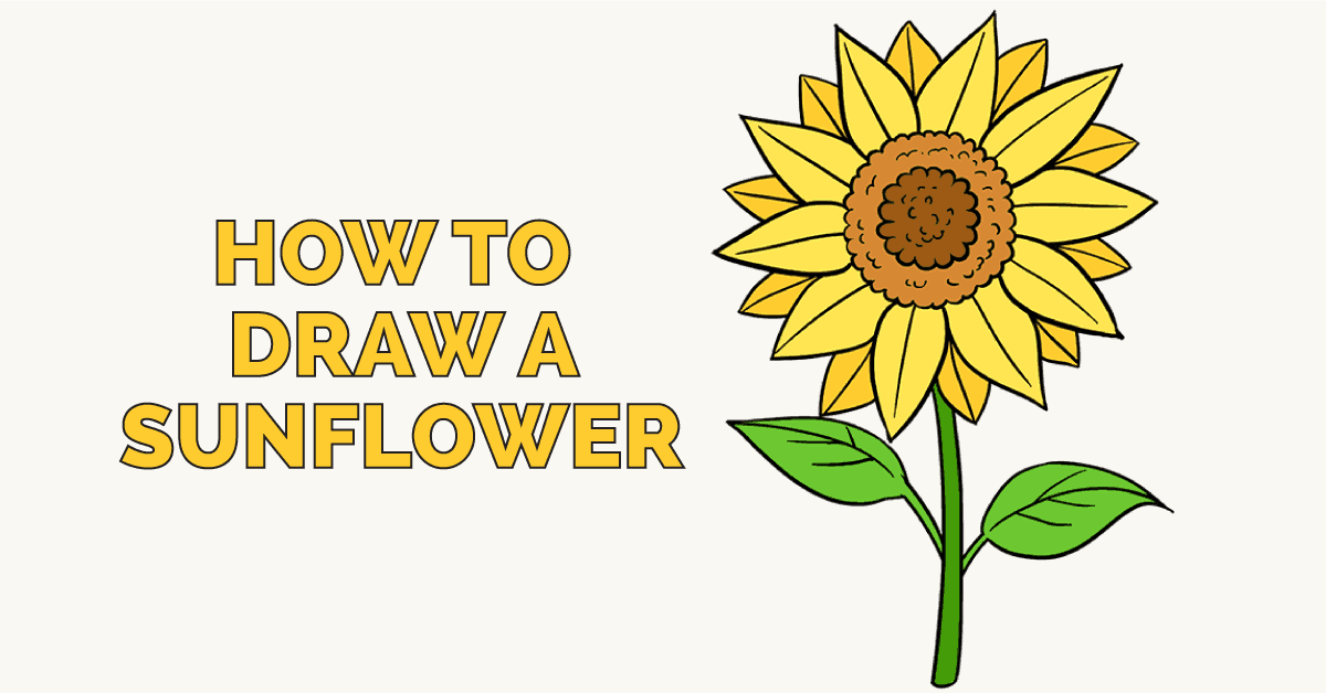 1200x628 How To Draw A Sunflower Easy Step - Flower Plant Drawing