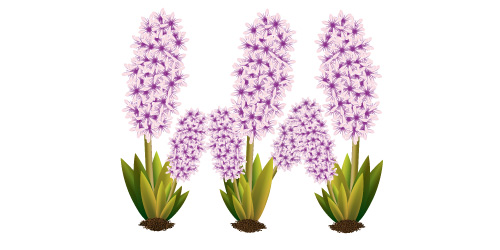 500x250 Illustrator Tutorial Vector Flower Plant - Flower Plant Drawing